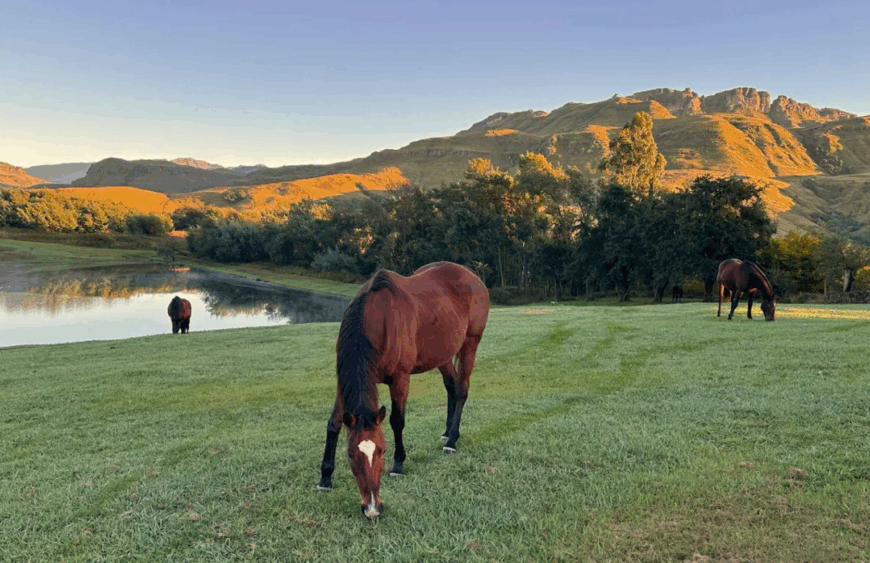 SEAFORTH COUNTRY LODGE
